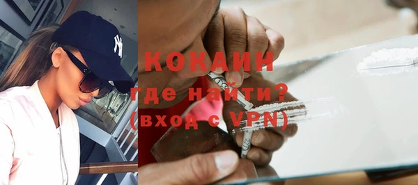 стаф Богданович