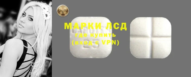 apvp Верея