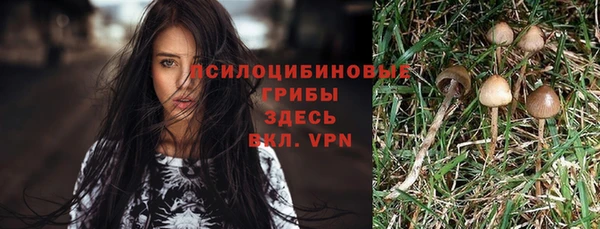 МДПВ Богородицк