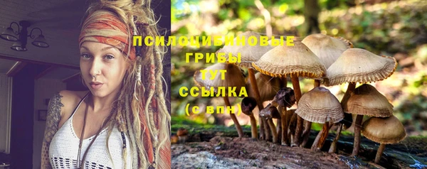 дживик Волосово