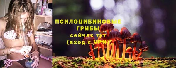 гашик Бородино