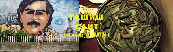 гашик Бородино