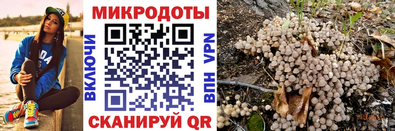 Псилоцибиновые грибы мицелий  hydra ONION  Дальнереченск 